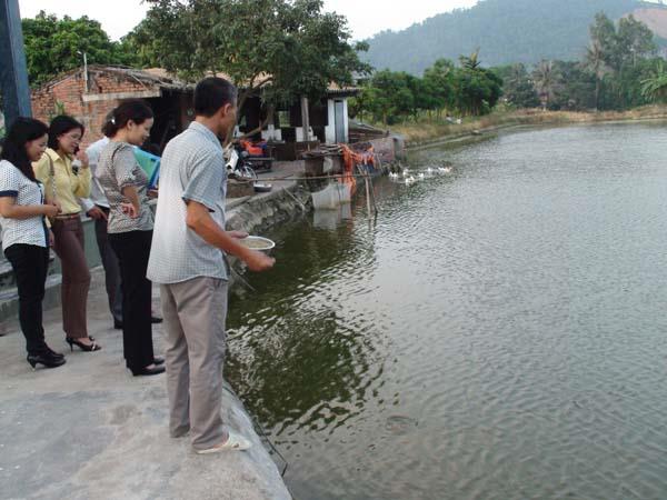 Xử lý rơm rạ và môi trường nước nuôi trồng thủy sản bằng các chế phẩm sinh học
